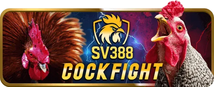 Ưu đãi và khuyến mãi ball88 đăng ký